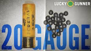 This is for your reference only. What About 20 Gauge For Home Defense Lucky Gunner Lounge