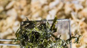 Water doesn't contain sugars or proteins, so microbes don't consume and rot it, discovery's dnews explains in a new video. How To Eat Dulse Seaweed Bon Appetit Bon Appetit