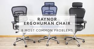 8 Problems With The Raynor Ergohuman Chair In 2019