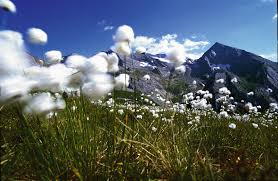 Beste hotels in finkenberg bei tripadvisor: Webcam In Finkenberg Live Cam Finkenberg