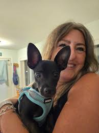 Welcome to the group, I can't make a summary