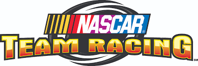 Nascar arcade (ナスカーアーケード) is a 2000 arcade stock car racing game by sega for sega hikaru hardware. Global Vr Nascar Team Racing