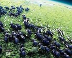 Image of Planet Earth BBC series poster