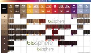 Paul Mitchell Color Wheel