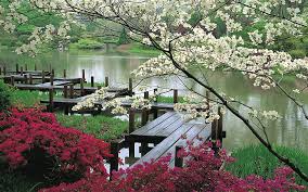 HD wallpaper: brown wooden dock, water, flowers, Japan, garden, bridges,  tree | Wallpaper Flare