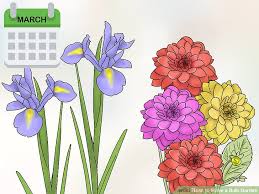 How To Make A Bulb Garden With Pictures Wikihow