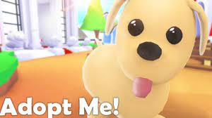 What Is The Rarest Pet In Adopt Me To Find Find Out What Is The Rarest Pet In Adopt Me Twitter | twitter.com/terabritegames facebook i know where video that room is from! what is the rarest pet in adopt me to