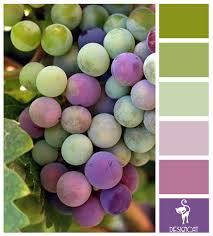 Bunch Of Grapes Green Sage Leaf Lilac Plum Purple Colour Inspiration Pallet Grapes Color Inspiration Color Combos
