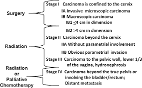 Early stage cancer (beyond the basics). Figure 1 From Mr Imaging Of Cervical Cancer Semantic Scholar