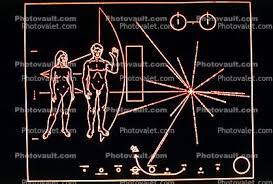 Image result for pioneer plaque