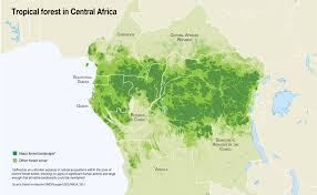 Africa map with countries labeled learn more about africa at: Tropical Forest In Central Africa Grid Arendal