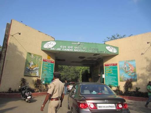 My World: A visit to Sanjay Gandhi National Park