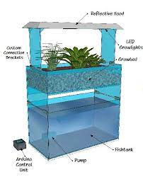 This moves the water from the fish tank to the plant container. Desktop Aquaponics Aquaponics System Design Aquaponics System Aquaponics