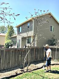 Here you will learn how to edge a garden bed with bricks, pavers, or stones the best way. How To Build A Raised Garden With Pavers Inspiration For Moms