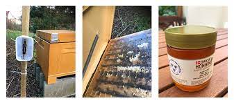 We did not find results for: Usb Logging Beehive Temperatures Lascar Electronics