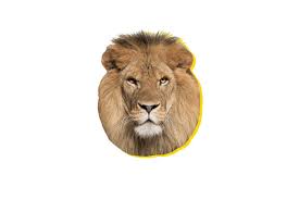 What animal do i look like? Why Humans Monitor A Lot Of Animals Using Facial Recognition