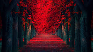 Looking for the top black and red japanese wallpapers? Red Japan Wallpapers Wallpaper Cave