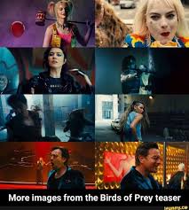 Birds Of Prey Free Movie Meme Memes Tashkexz6 10 Comments Ifunny Comments Ifunny Meme Memes Tashkexz6 In 2020 Birds Of Prey Prey Memes