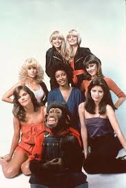 Bj And The Bear Cast B J And The Bear 1978 1981 Movie Stars Tv Series Picture Photo