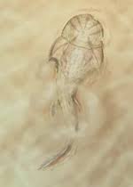 Image result for Phyllorachis