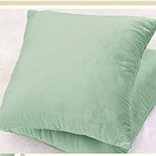 This beautiful velvet underglaze ceramic shade is called mint green, and comes from a company this beautiful shade of mint green and others can be found in the amaco velvet underglaze art. Accents New Mint Green Velvet Pillow 18x18 Poshmark