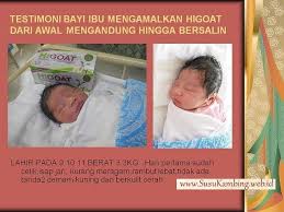 Jika anda membeli susu kambing segar, susu harus terlihat berwarna kuning gading karena tidak hanya bermanfaat bagi kesehatan, susu kambing etawa juga bisa digunakan untuk susu kambing ini terbuat dari 100% susu kambing alami sehingga membuatnya aman diminum bayi 6 bulan hingga. Konsep Mendasar Bisnis Susu Kambing Higoat Wa 082131222659