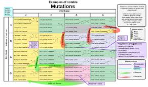 If you need to review the mutation guide, open it up at any time by clicking the mutation guide button in the lower left hand portion of the page. All Sorts Of Mutations Changes In The Genetic Code Lesson Teachengineering