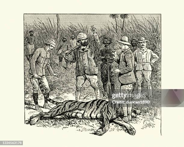 Victorian Big Game Hunter Shooting A Tiger India 19th Century High-Res Vector Graphic - Getty Images
