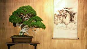 Maybe you would like to learn more about one of these? How To Start A Bonsai Tree Business Truic