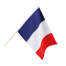Les symboles nationaux du mexique. Drapeau Francais Sur Tige 30 X 45 Cm Le Geant De La Fete