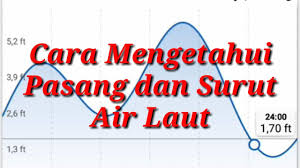 Oleh karena posisi bulan lebih dekat dengan bumi, maka pengaruh gravitasi bulan lebih besar daripada matahari. Cara Melihat Pasang Surut Air Laut Muara Dan Sungai Youtube