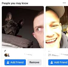 Kyle Shute(@shutek) • Instagram 사진 및 동영상