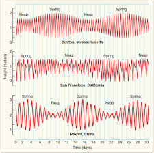 Tides are the rise and fall of sea levels caused by gravitational forces exerted by the moon and sun and the rotation of earth. Solved Which Of The Tidal Patterns Illustrated In Figure 1 Exh Chegg Com
