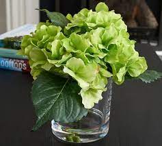 Shop for silk artificial hydrangeas arrangements & artificial hydrangea flower arrangements that will mark the importance of any occasion. Faux Green Hydrangea Flower Arrangement Pottery Barn