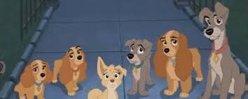 Lady And The Tramp Ii Scamp S Adventure Lady And The Tramp Walt Disney Characters Disney Dogs