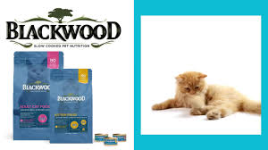 Special diet cat food chicken meal & field pea recipe. Blackwood Cat Food Youtube
