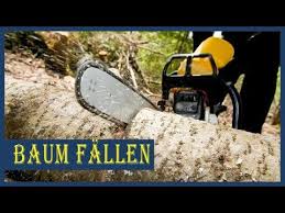 Überlegen sie sich für jeden baum extra: Baum Fallen Sicher Und Richtig Anleitung Schritt Fur Schritt Youtube