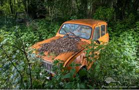 Image result for Green 1969 Renault