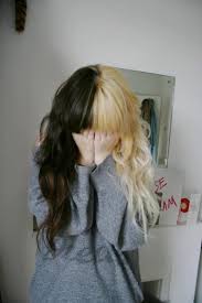 Half Blonde Half Brown What Cheveux Teints Cheveux Cheveux Tres Colores
