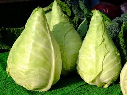 Spitzkohl: Diese Vitamine stecken drin - [GEO]