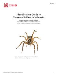 identification guide to common spiders in nebraska ec1590