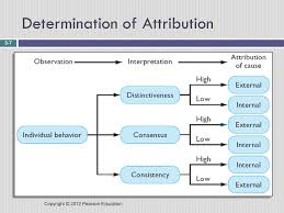 Chapter 5 Individual Perception And Decision Making Ppt