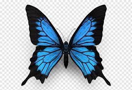 Monarch Butterfly Ulysses Butterfly Insect Menelaus Blue Morpho Butterfly Png Blue Morpho Butterfly Monarch Butterfly Tattoo Butterfly Drawing