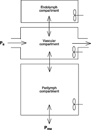 Image result for Inner Ear Decompression Sickness