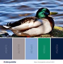 Color Palette Ideas Icolorpalette Colors Inspiration Graphics Design Inspiration Beautiful Black Color Palette Fashion Inspiration Board Color Palette