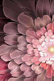 Abstract Flower Iphone Wallpaper Hd Flower Iphone Wallpaper Abstract Flowers Flower Phone Wallpaper