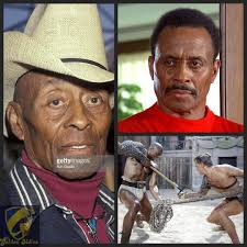 RIP Wayne Northrop, Roman Brady