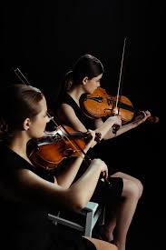 We did not find results for: Two Professional Musicians Playing Classical Music On Violins On Dark Stage Free Stock Photo And Image