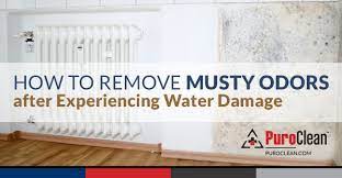 Unfortunately, they have a strong smell. How To Remove Musty Odors And Smells After Water Damage