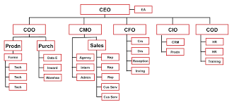 Unfolded Coo Organizational Chart 2019